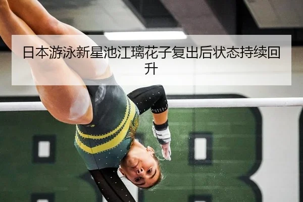 ri-ben-you-yong-xin-xing-chi-jiang-li-hua-zi-fu-chu-hou-zhuang-tai-chi-xu-hui-sheng-2-504.jpg